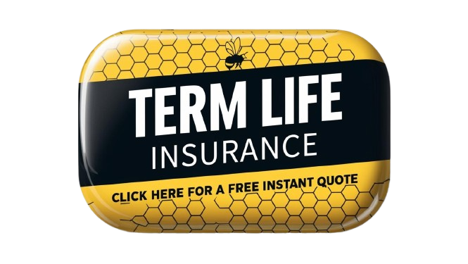 Term Life Insurance Quote